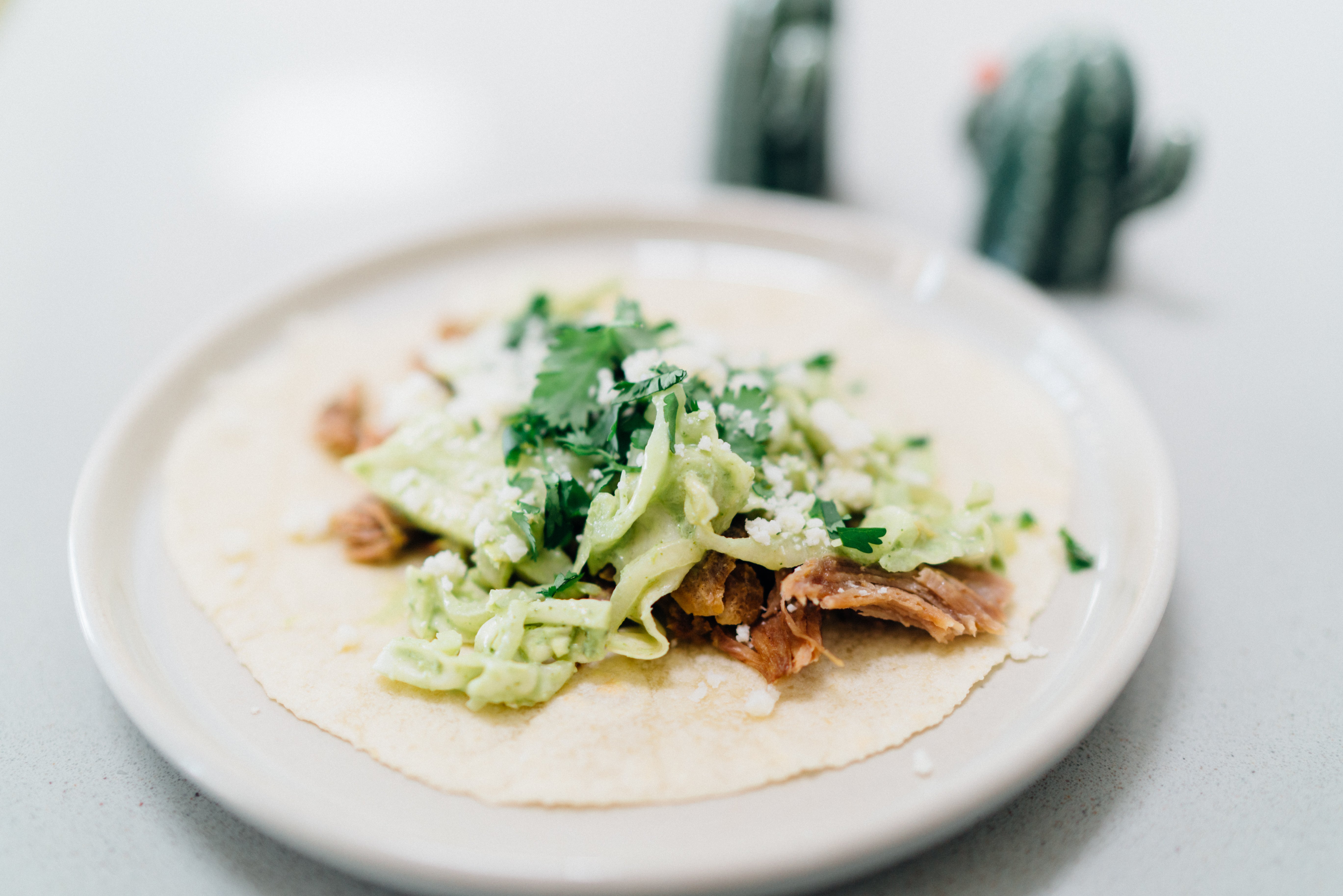 Instant Pot Carnitas