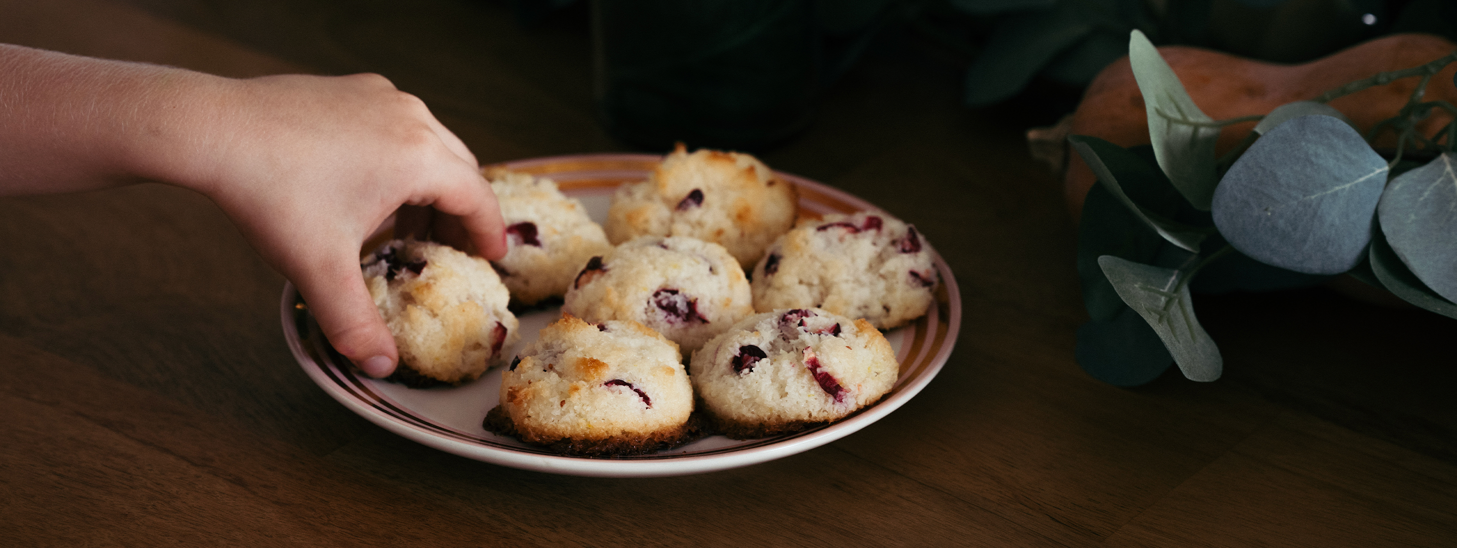 Cranberry Macaroons