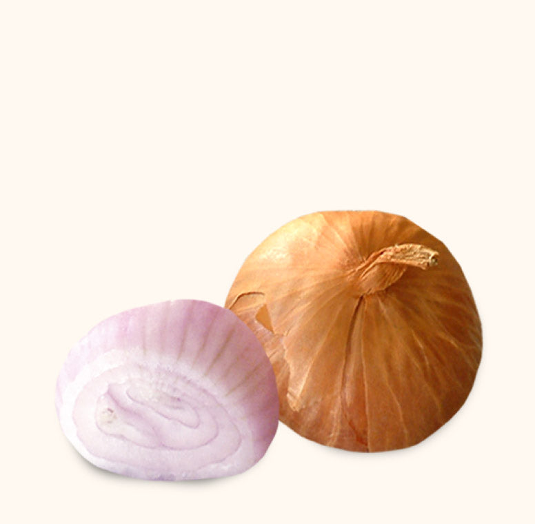 https://fondbonebroth.com/cdn/shop/t/70/assets/ingredient-shallot.jpg?v=149393507758898809811680212321