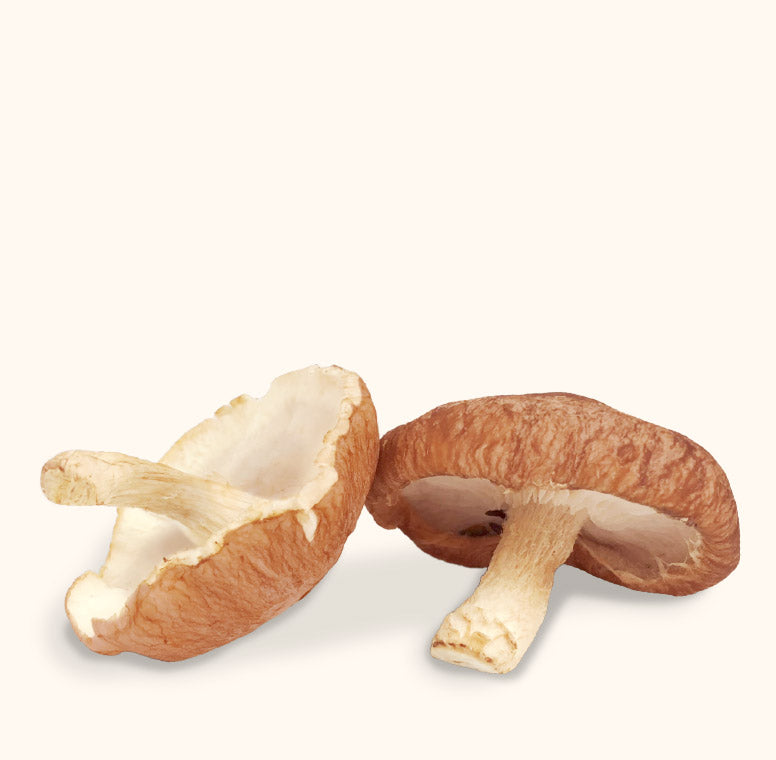 https://fondbonebroth.com/cdn/shop/t/70/assets/ingredient-shiitake.jpg?v=74781427700349034851680212321